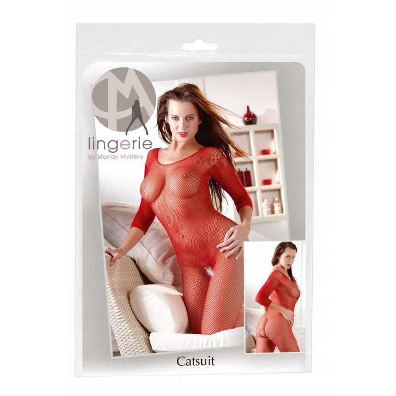 Костюм Сітчастий Bodystocking 230189 S-L