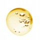 Масажна олія Exsens Organic Amber Jojoba (100 мл), масажна олія з камінцями