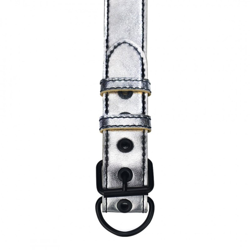 Нашийник БДСМ BONDAGE FETISH з поводком - Metallic Pup Collar