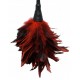 FFS Frisky Feather Duster Fetish Fantasy Series