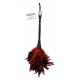 FFS Frisky Feather Duster Fetish Fantasy Series