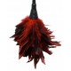 FFS Frisky Feather Duster Fetish Fantasy Series
