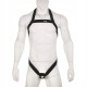 Еластичний HARNESS чоловічий для клітки і пеніса