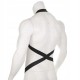 Еластичний HARNESS чоловічий для клітки і пеніса