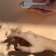 Анальний Гель Повільний Секс Анальний Грати Гель Bijoux Indiscrets
