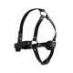 Head Harness with Solid Ball Gag - Чорний