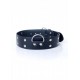 Фетиш Б - Series Collar with studs 4 см