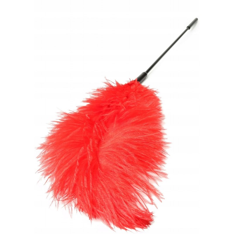 Подвійний Feather Тіклер Червоний