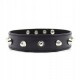 Нашийник-нашийник Spikes Collar чорний