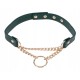 Нашийник Day Collar