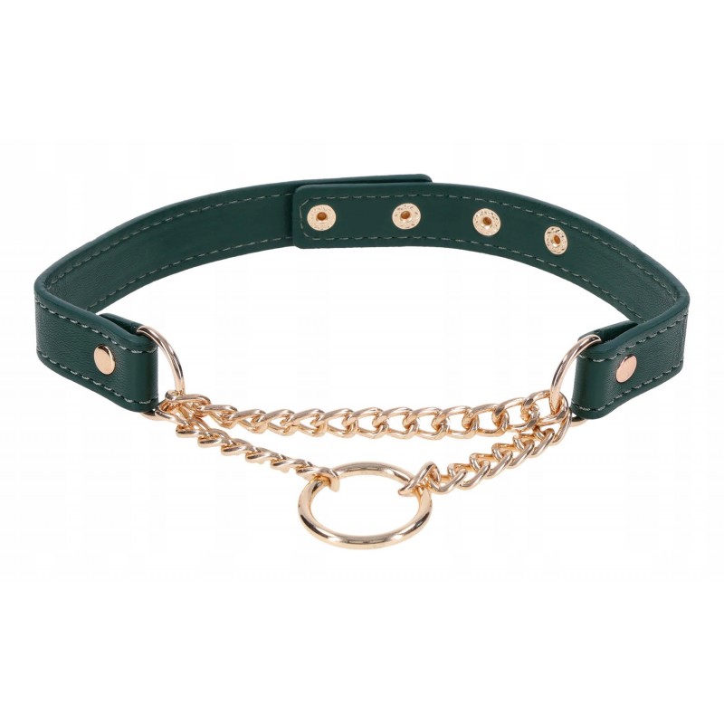 Нашийник Day Collar