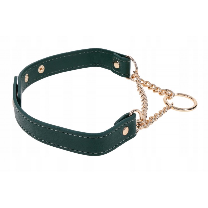 Нашийник Day Collar