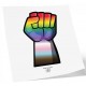 Тимчасове татуювання GAY FORCE – вічне татуювання 10 x 15 см